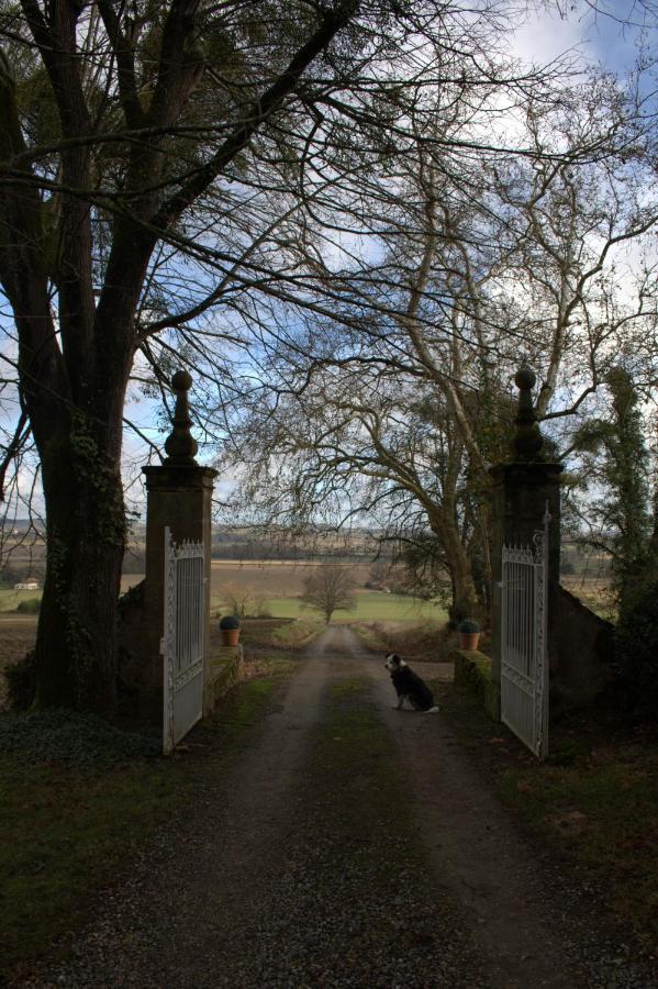 Au Chateau Juillac Exteriér fotografie